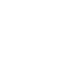icon2